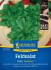 Feldsalat 