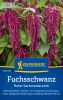 Amaranthus caudatus "Roter Gartenamaranth" - Fuchsschwanz