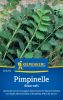 Pimpinelle 
