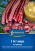 Rhabarber "Valentine" - Rheum rhabarbarum