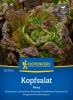 Kopfsalat "Roxy" - Lactuca sativa var. capitata