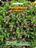 Perserklee, Trifolium resupinatum - Gr�nd�nger