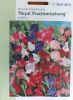 Lathyrus odoratus "Royal Mischung" - Riesenblumige Edelwicke