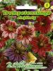 Salpiglossis sinuata "Mischung" - Trompetenzunge