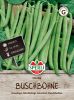 Buschbohne 