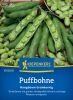 Puffbohne - Dicke Bohne "Hangdown Grnkernig" - Vicia faba